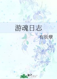 游魂日志