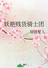 妖艳贱货骑士团